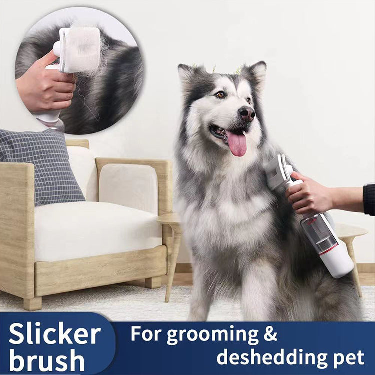 Pet Cordless Vacuum Cleaner Hair Removal Absorption